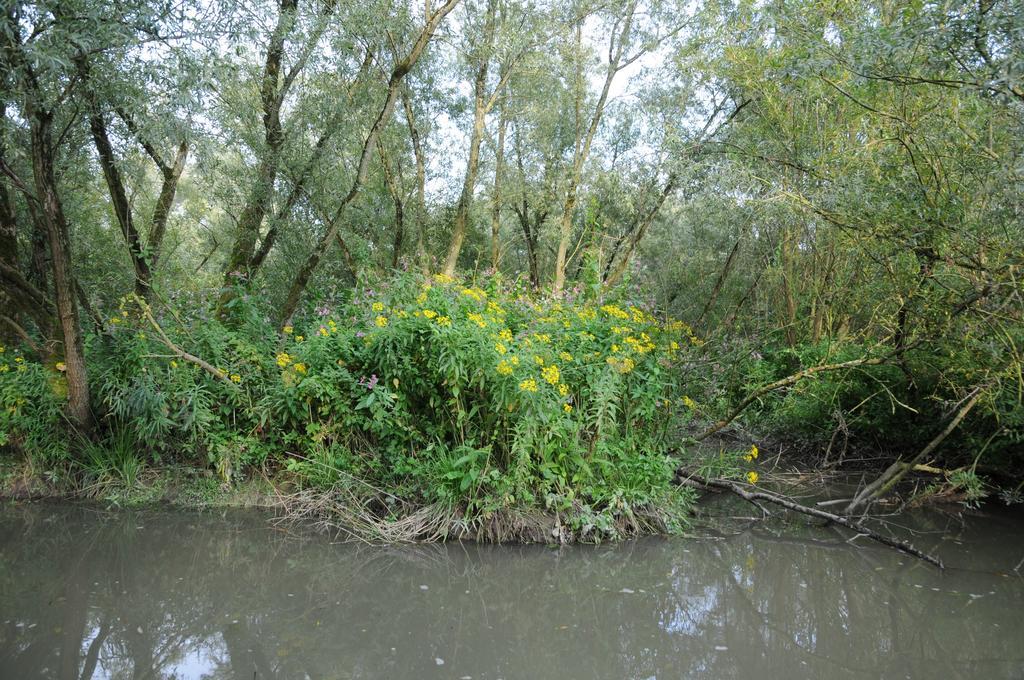 De Brabantse Biesbosch Hotel Werkendam Bagian luar foto
