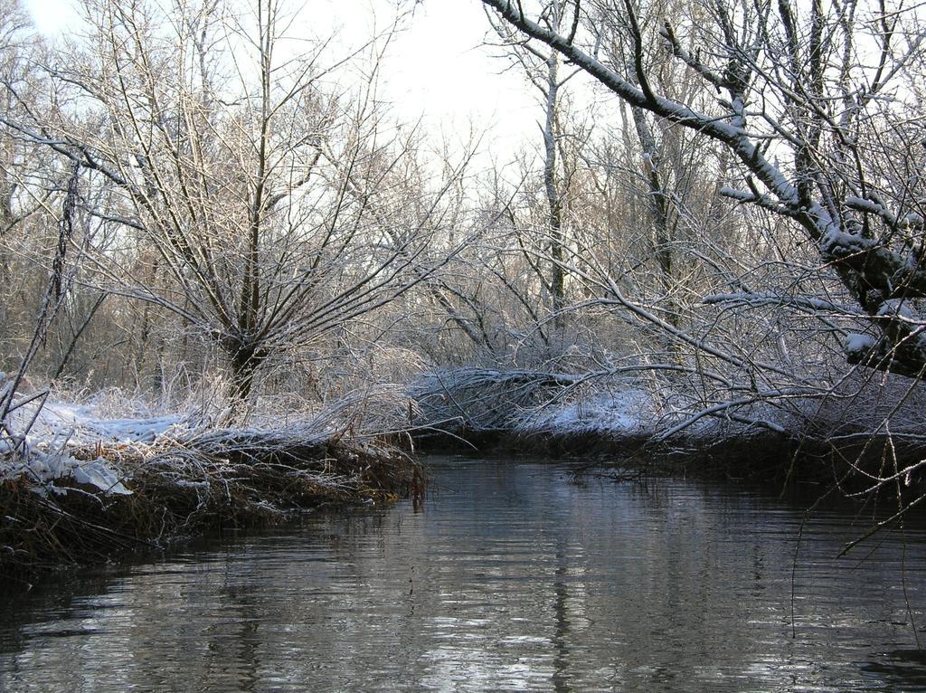 De Brabantse Biesbosch Hotel Werkendam Bagian luar foto