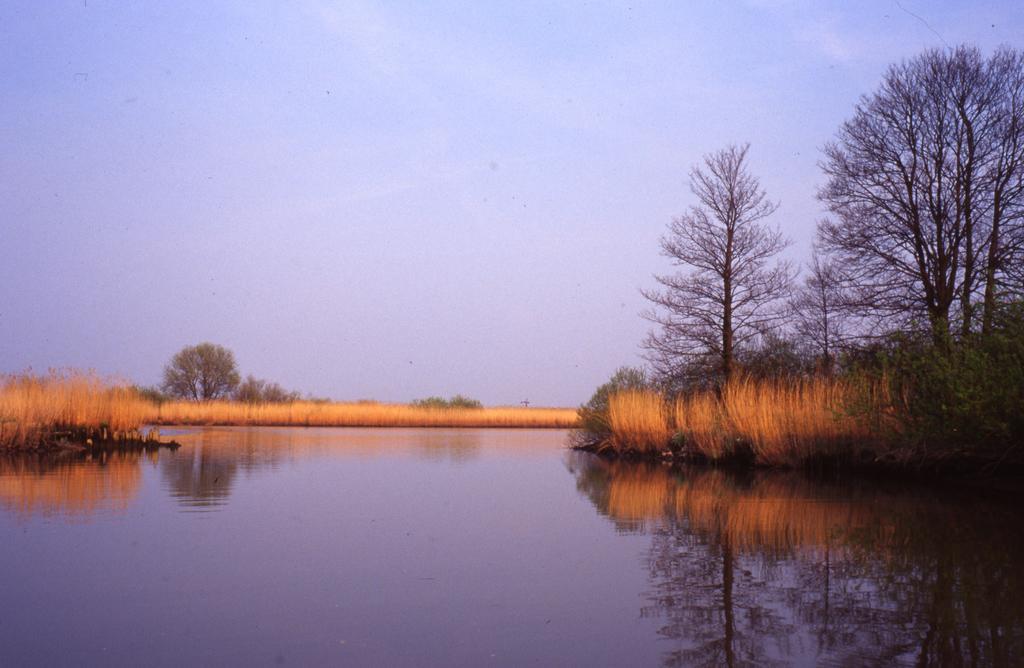 De Brabantse Biesbosch Hotel Werkendam Bagian luar foto