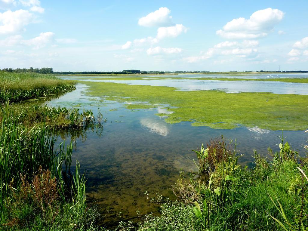 De Brabantse Biesbosch Hotel Werkendam Bagian luar foto
