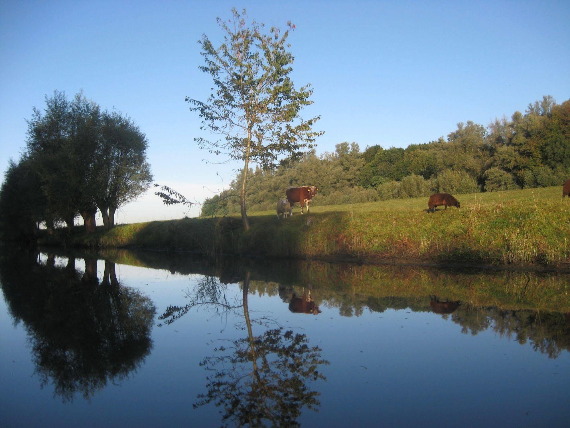 De Brabantse Biesbosch Hotel Werkendam Bagian luar foto