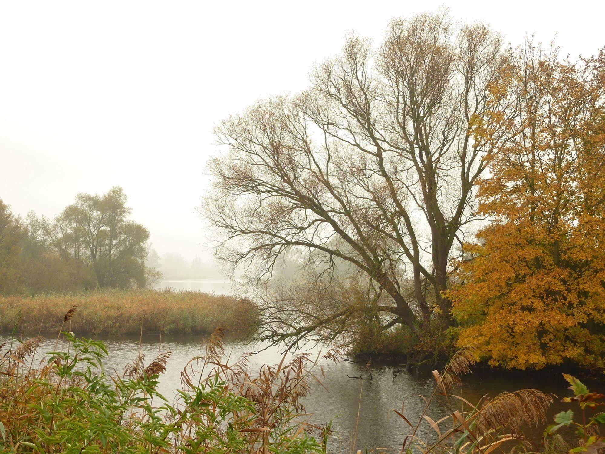 De Brabantse Biesbosch Hotel Werkendam Bagian luar foto