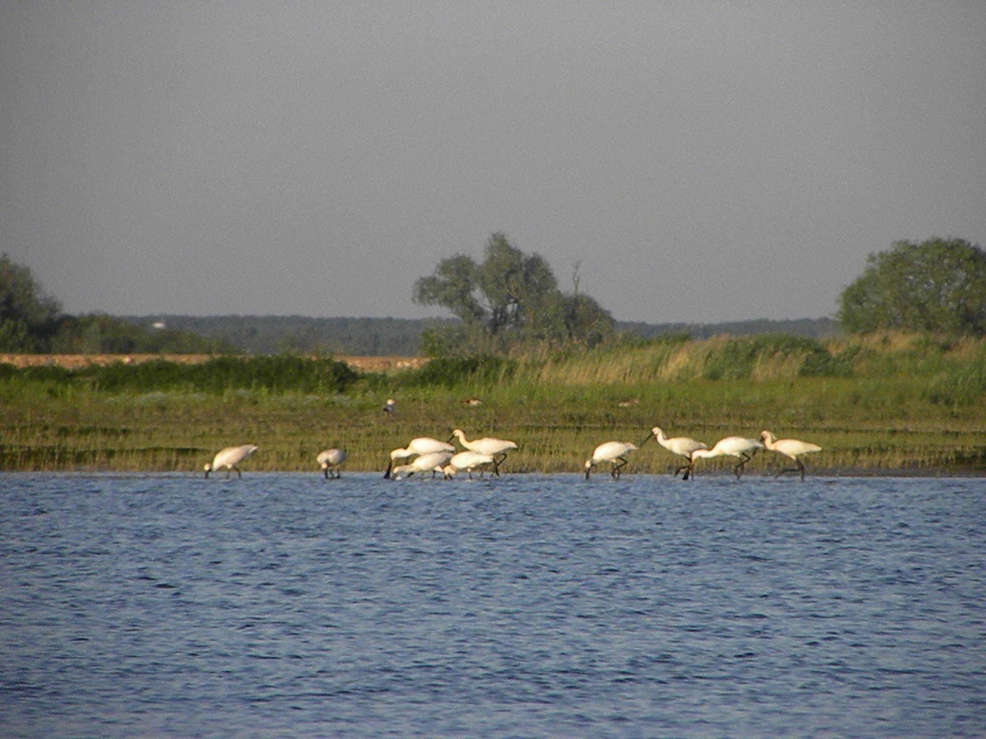 De Brabantse Biesbosch Hotel Werkendam Bagian luar foto