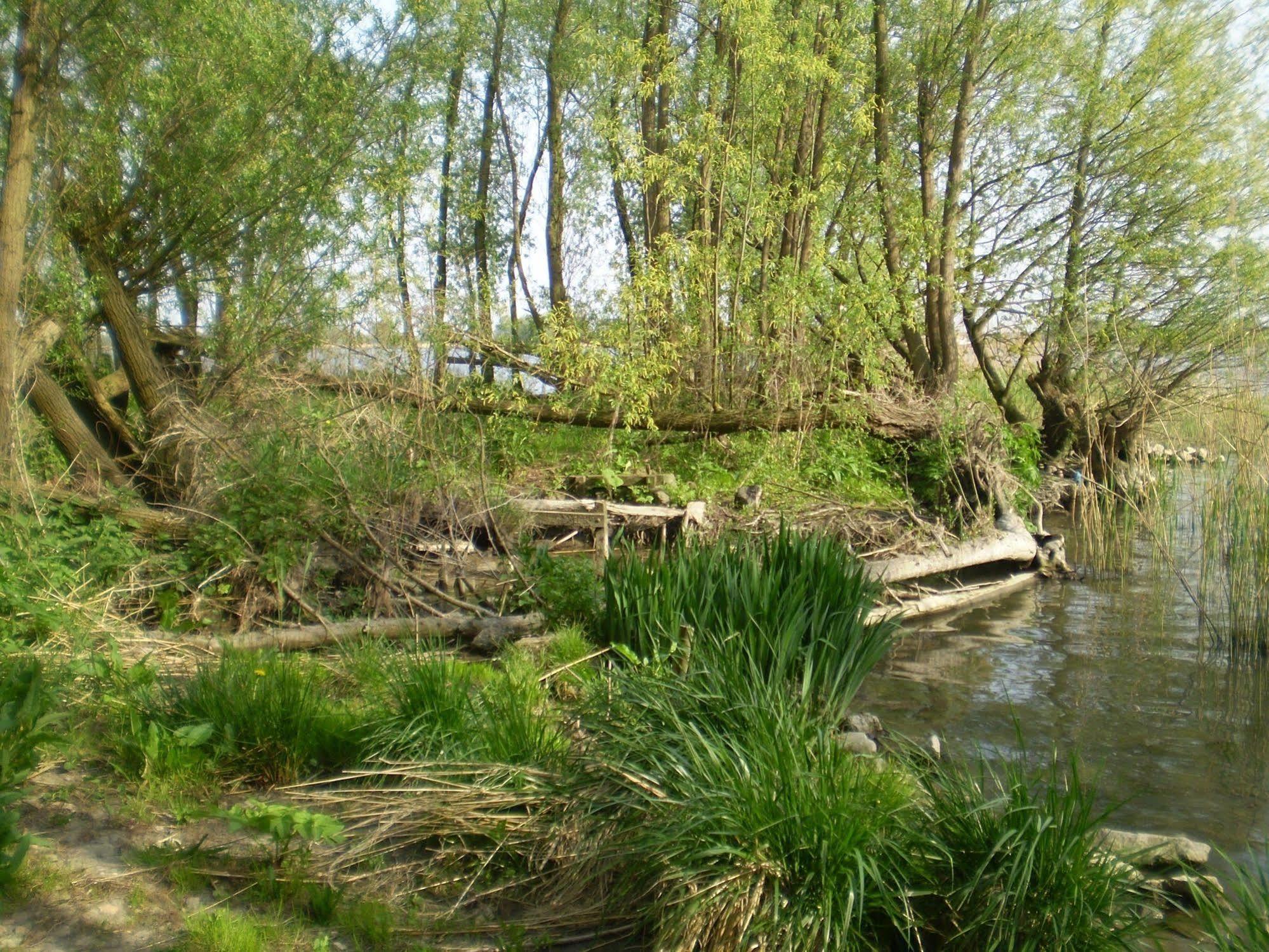 De Brabantse Biesbosch Hotel Werkendam Bagian luar foto